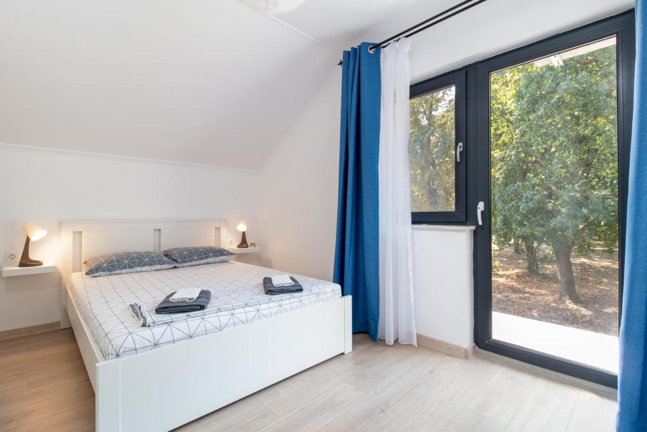 Zola Guest House أرادايا المظهر الخارجي الصورة